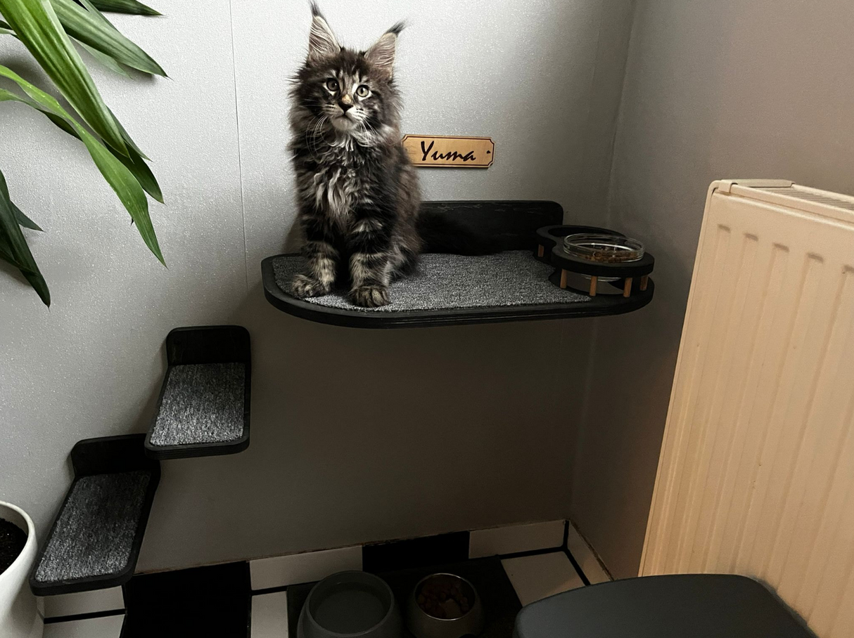 Elegant cat feeder shelf with a dark wood finish, gray carpet for stability, and two glass bowls for meal-time comfort