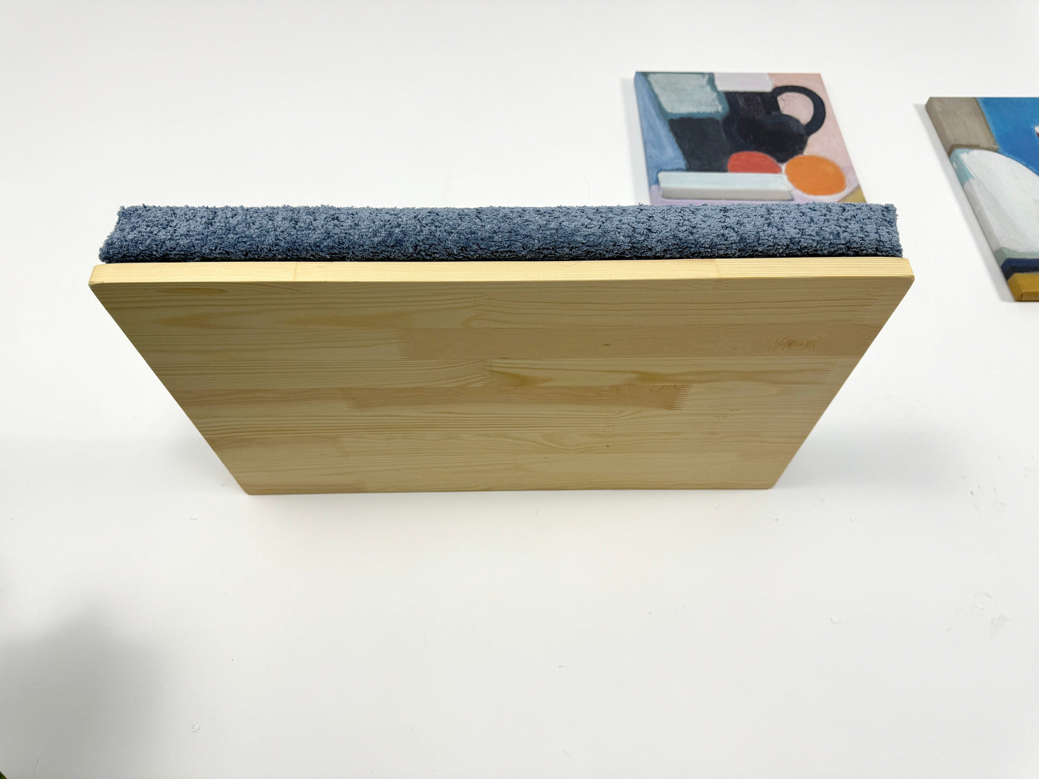 cat shelf with hidden fasteners