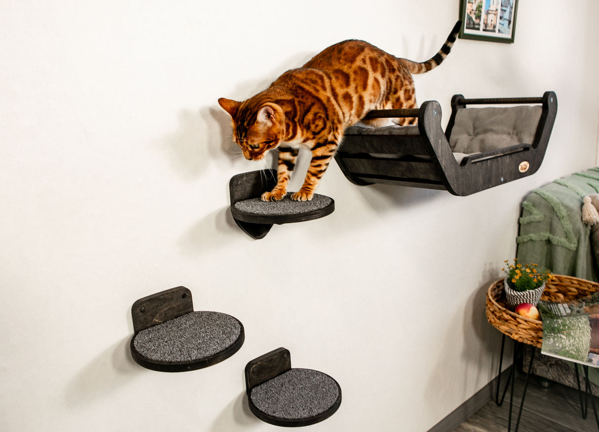 Set of wall furniture for a cat. Bed + ladder