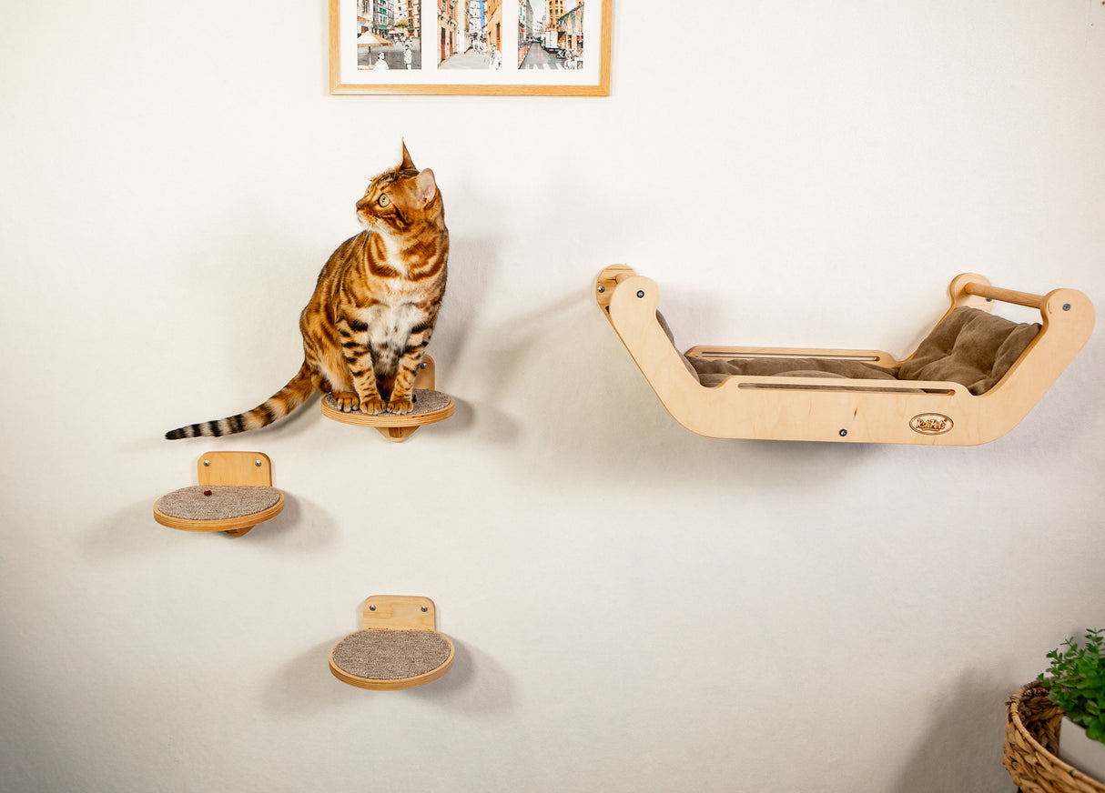 Cat sitting on a wooden shelf with a wall-mounted cat bed and scratching posts in a room.