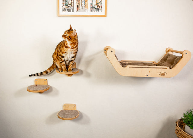 Cat sitting on a wooden shelf with a wall-mounted cat bed and scratching posts in a room.