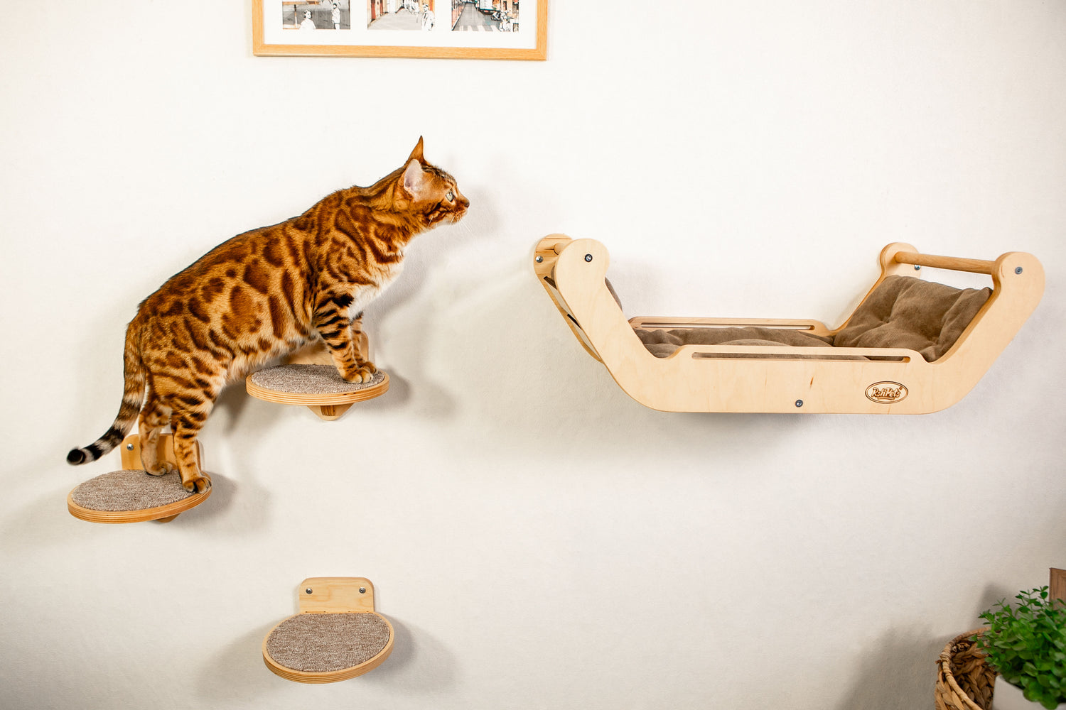 Katzenwandbett mit 3 runden Stufen