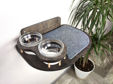 cat climbing shelves