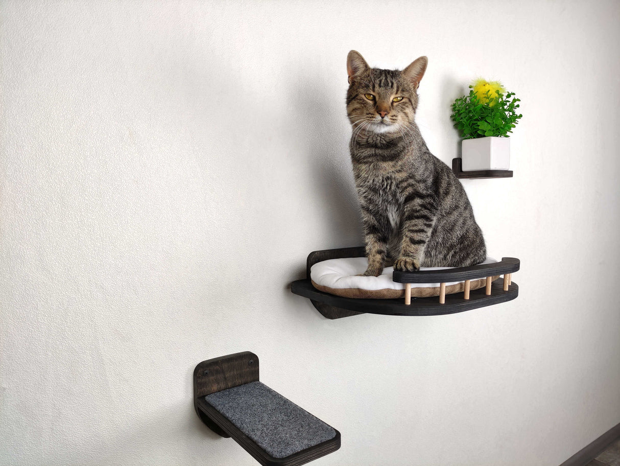 Cat sitting on a wall-mounted cat shelf with a small plant in the background.