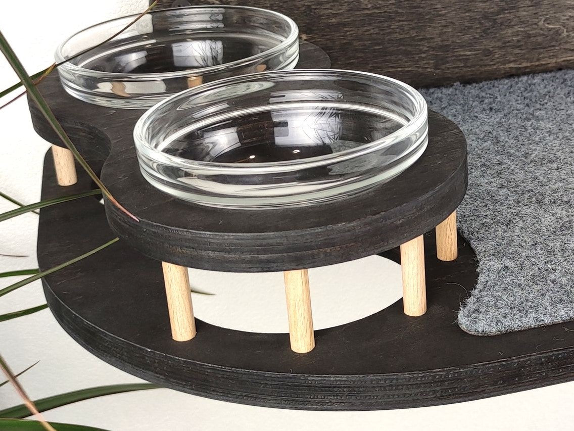 cat shelves wall
