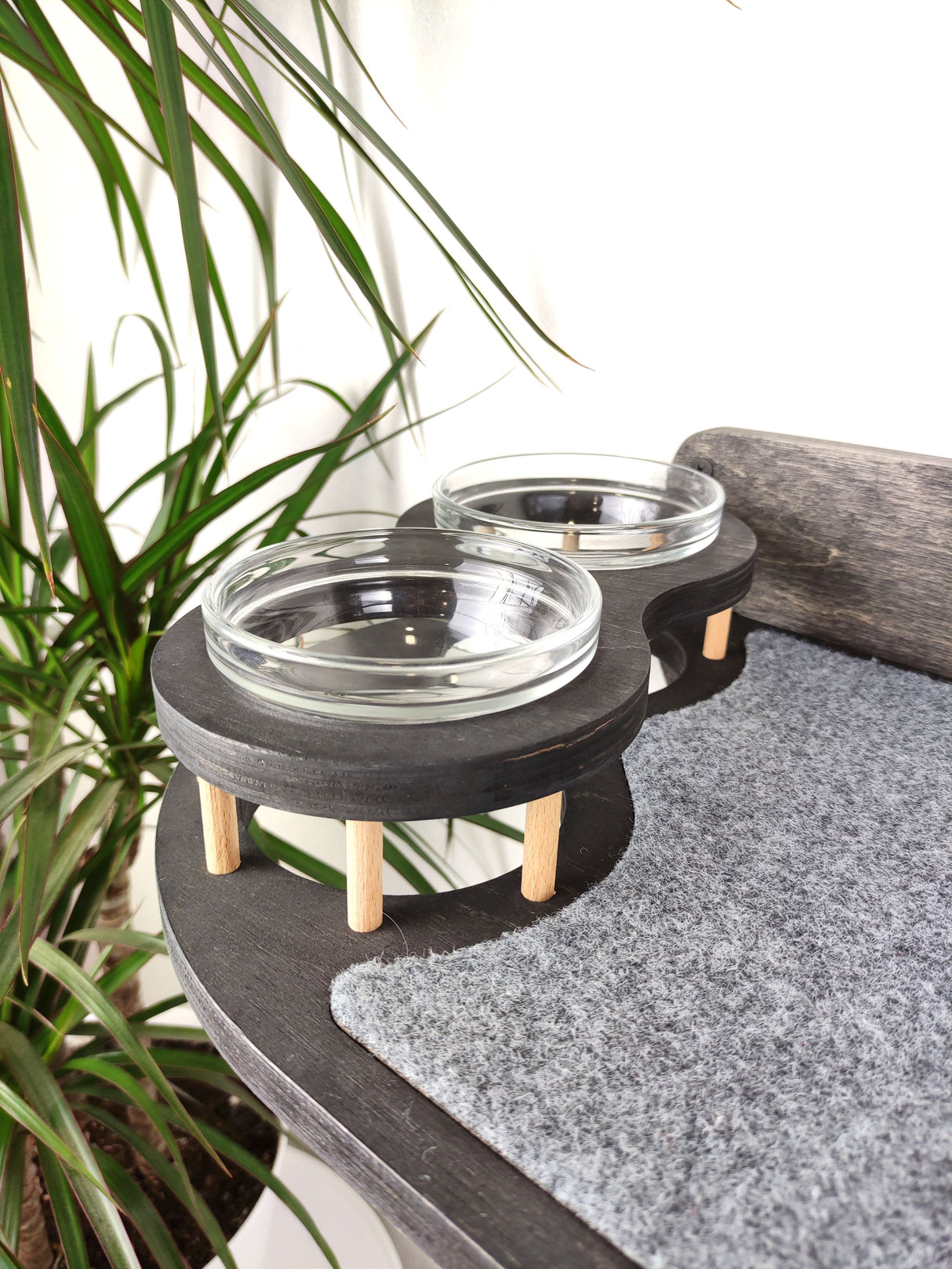 wall mounted cat shelves