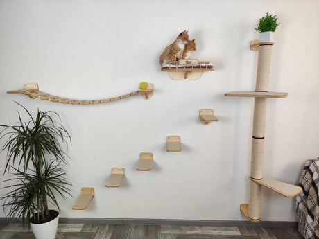 Wall mounted cat play complex