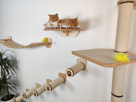 Wall-Mounted Cat Climbing Set