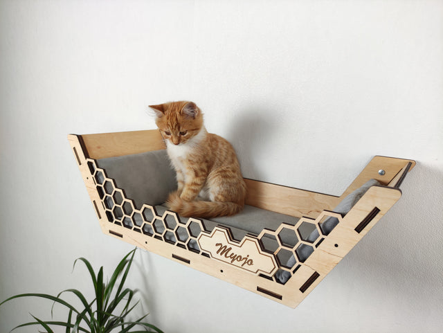 cat climbing shelves