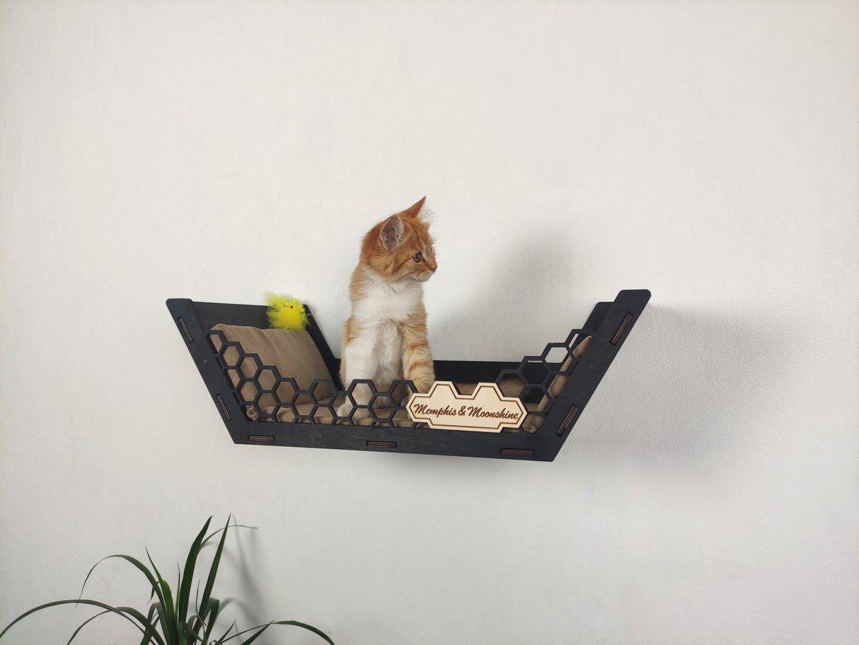 cat wall climbing shelves