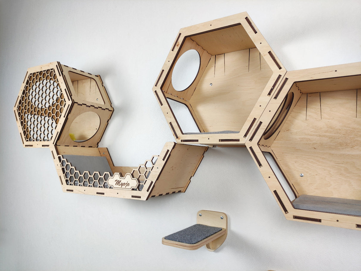 cat shelves walls