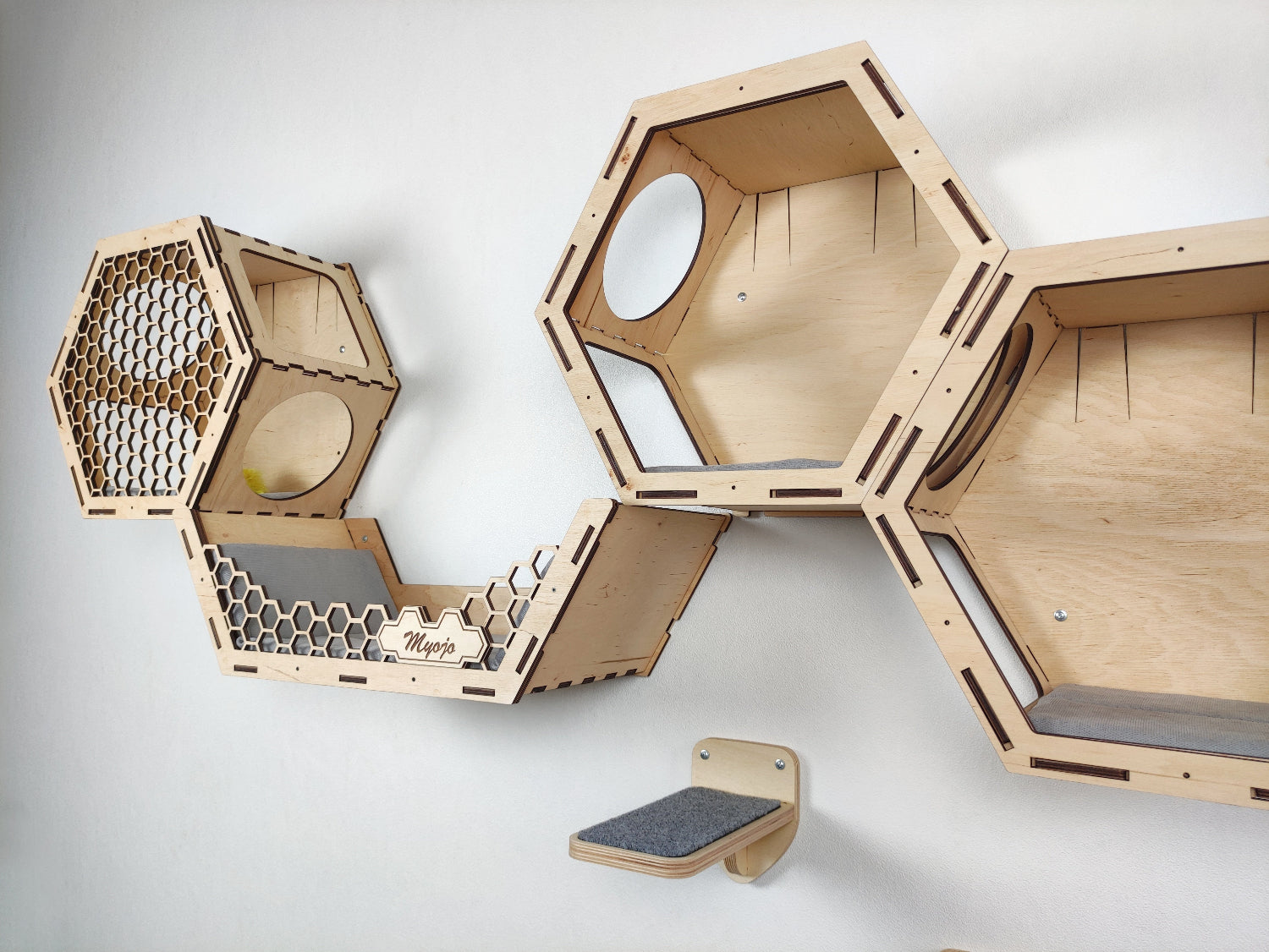cat shelves walls