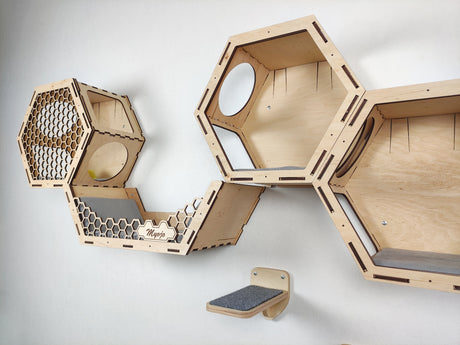 cat shelves walls