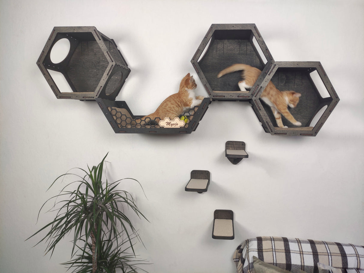 Hexagon cat wall shelves