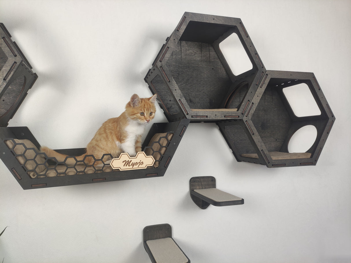 cat shelves for large cats