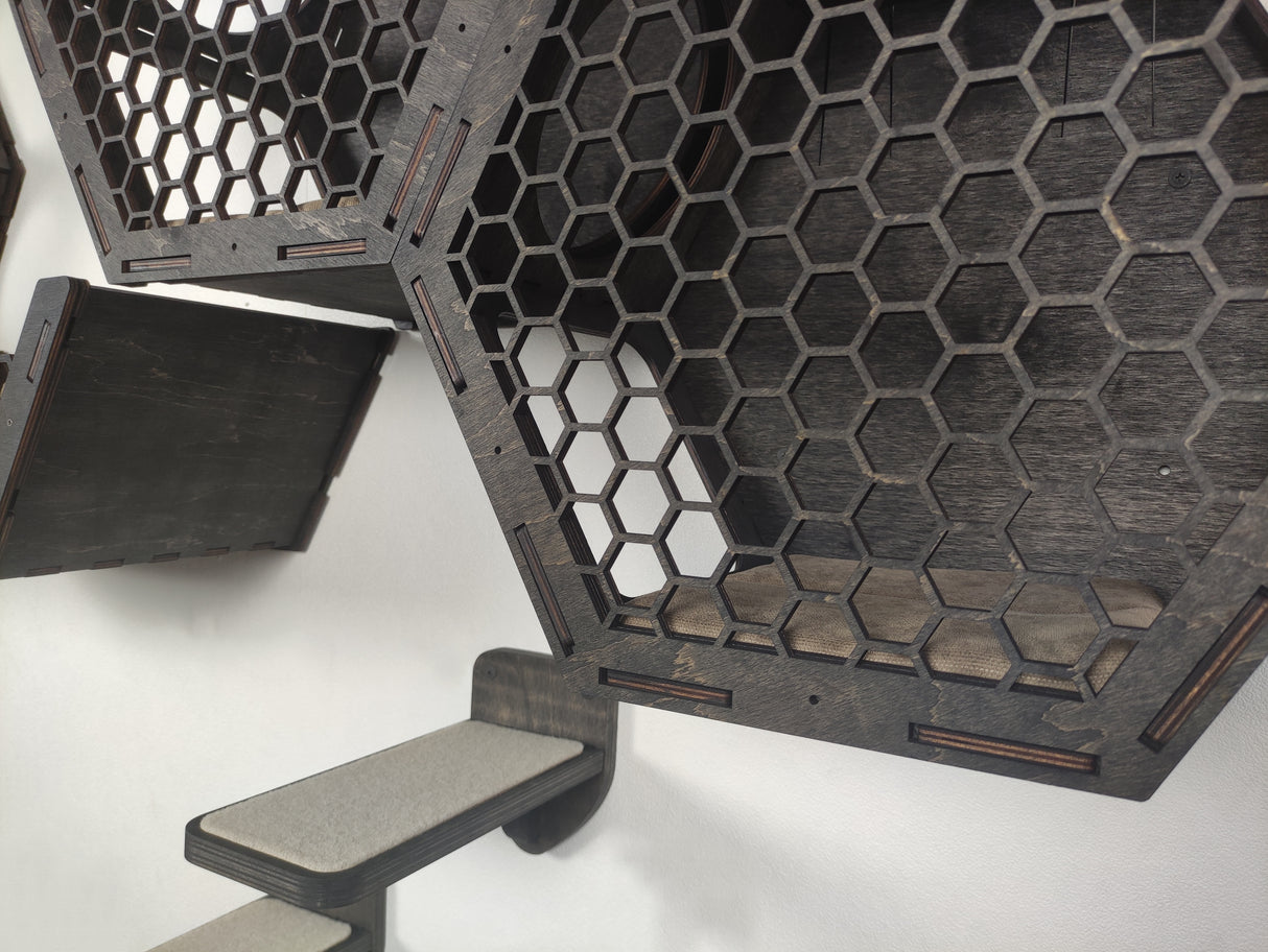 cat climbing shelves