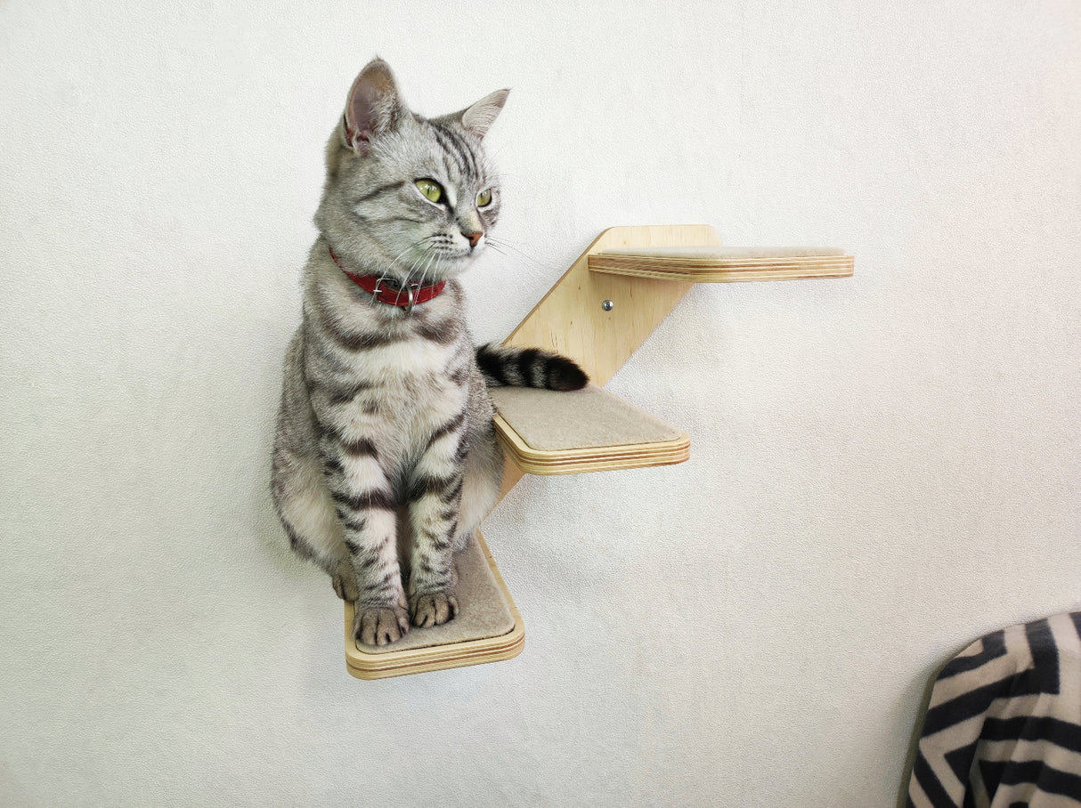 Wall-mounted cat ladder with 3 carpeted steps, ideal for active cats to climb and play indoors.