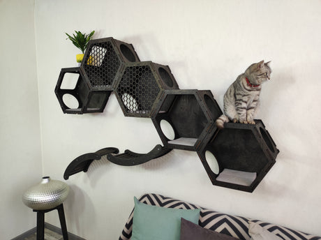 5 Hexagonal Shelves & 2 Cat Ladder drak wood