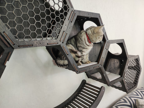 dark big set of wall furniture for cat