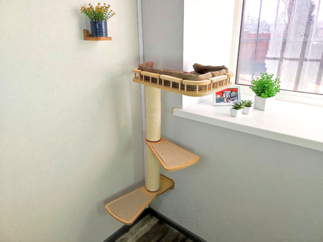 cat scratching wall