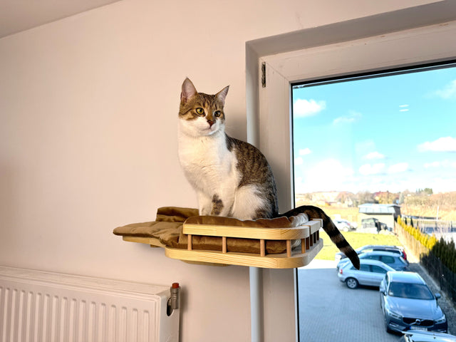 Window Cat Bed with Soft Cushion (Wall-Mounted)