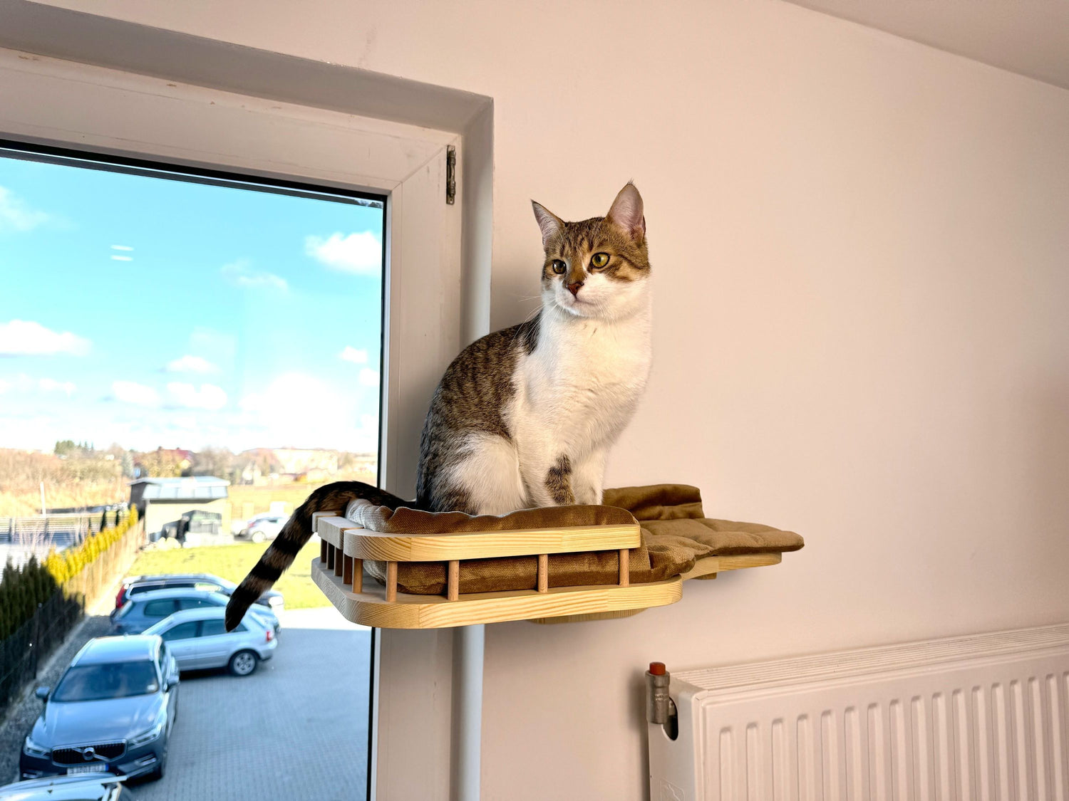 Window Cat Bed with Soft Cushion (Wall-Mounted)