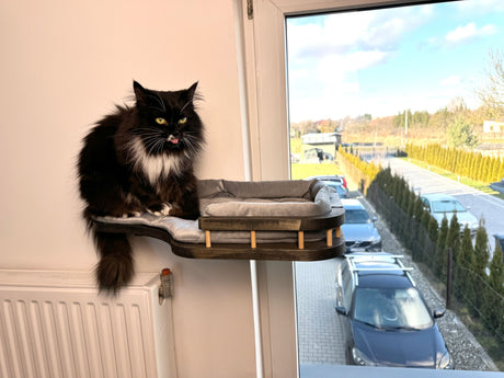 Window Cat Bed with Soft Cushion (Wall-Mounted) - dark color
