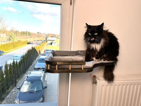 Window Cat Bed with Soft Cushion (Wall-Mounted)
