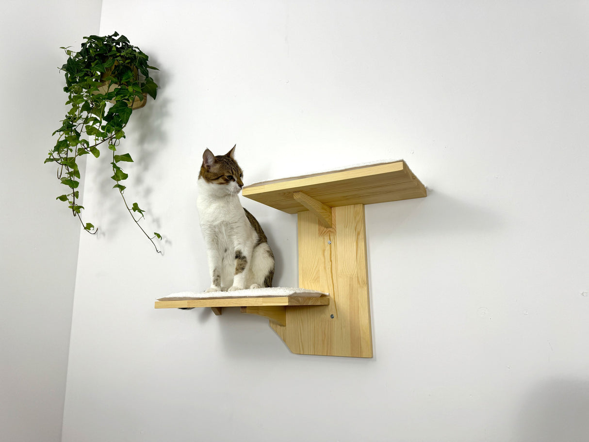 Two-Level Wall Shelf with Soft Cushions