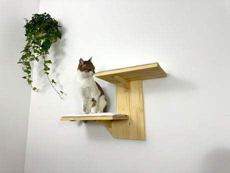 Two-Level Wall Shelf with Soft Cushions