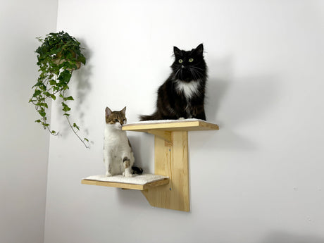double-Level Wall Shelf for two cat