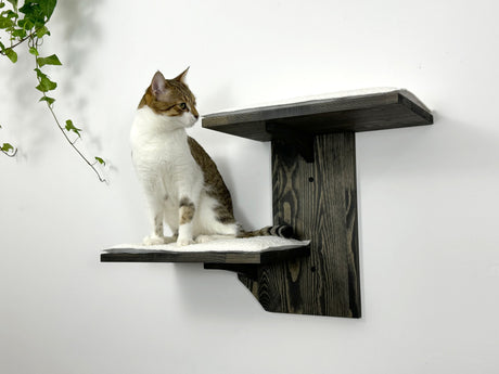 dark wall mounted cat shelves with soft cushion