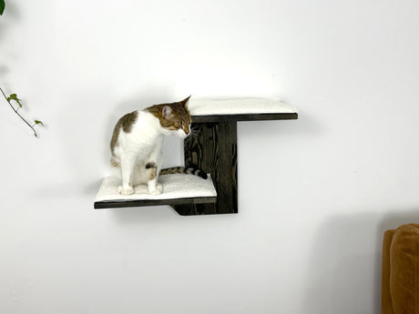 a cozy place for a cat on the wall