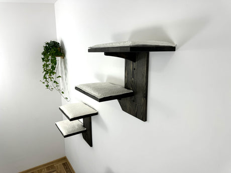 whith cushion on the dark cat wall shelf