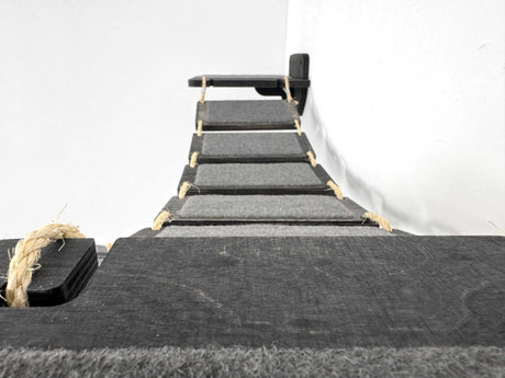 cat rope bridge