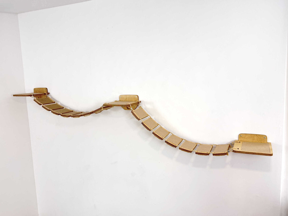 cat suspension bridge