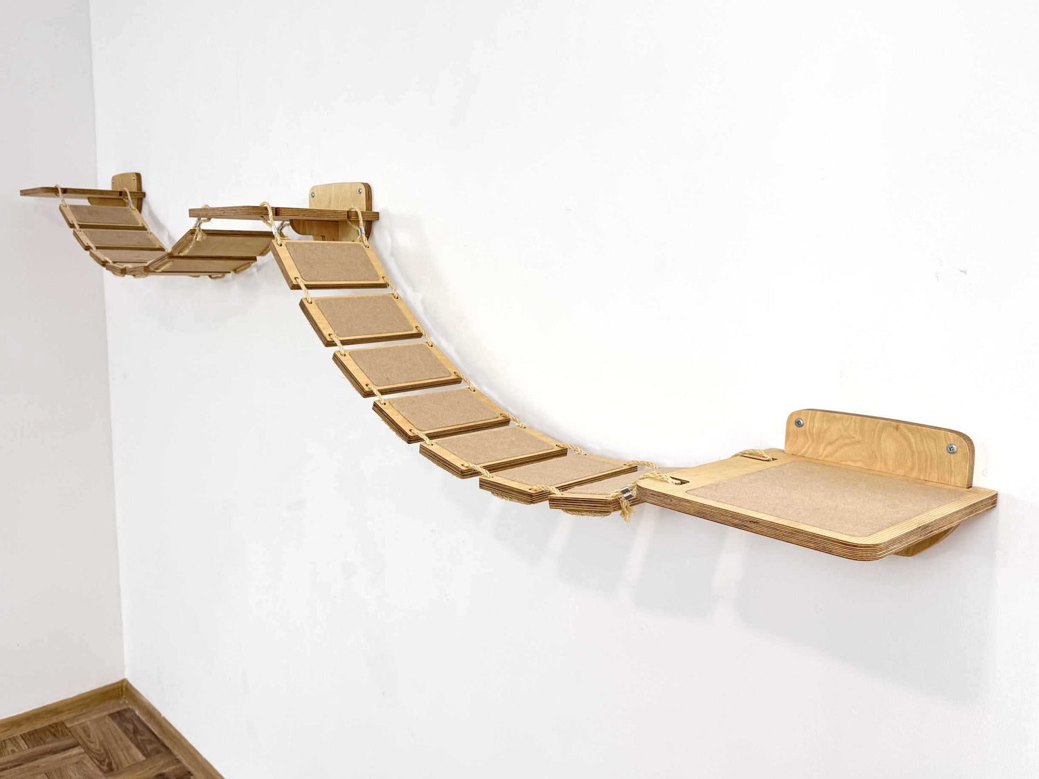 cat bridge