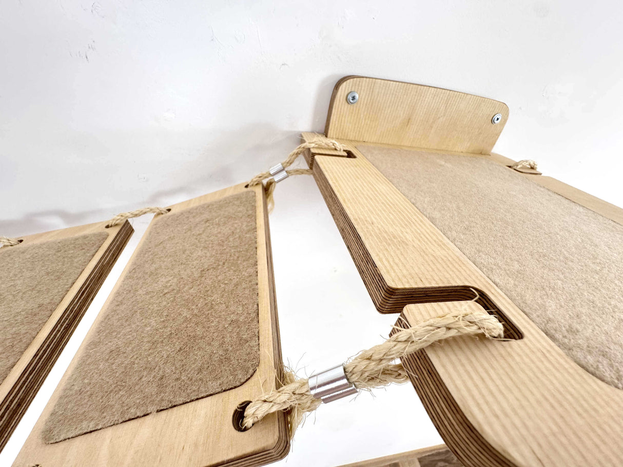 cat bridges in house