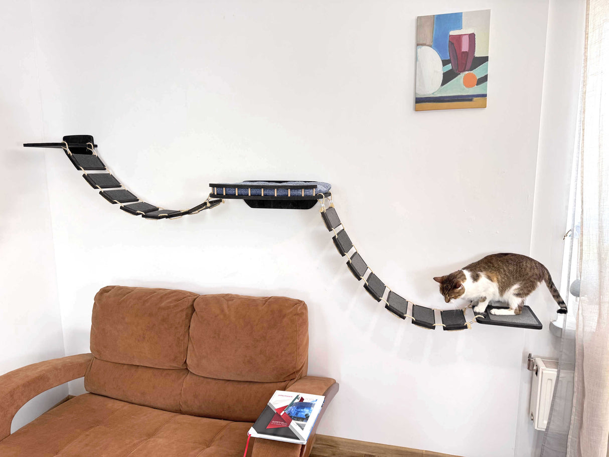 cat bridge wall