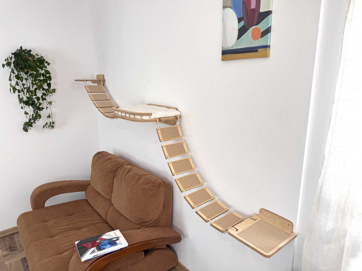 cat suspension bridge