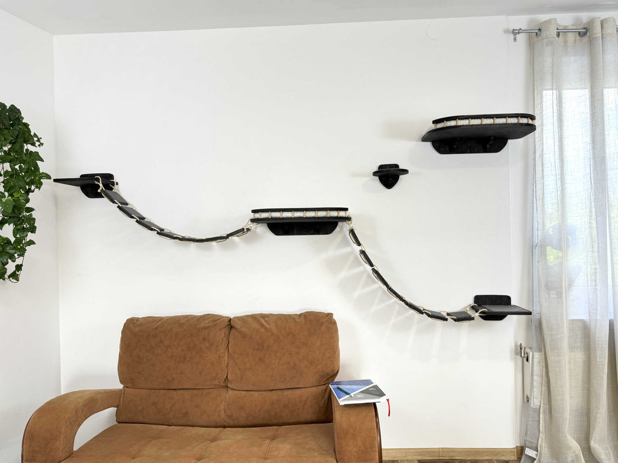 cat climbing shelves
