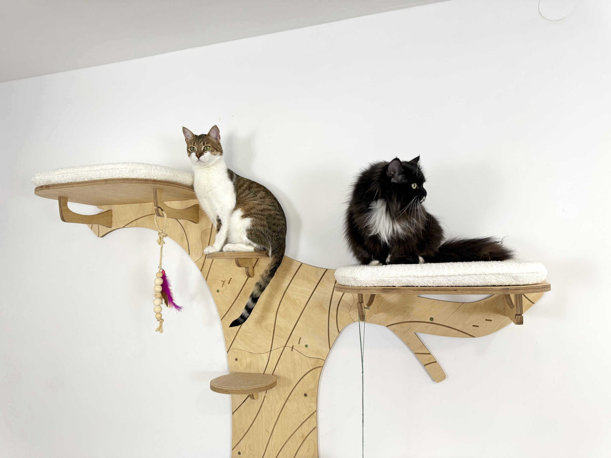 cat wall shelves