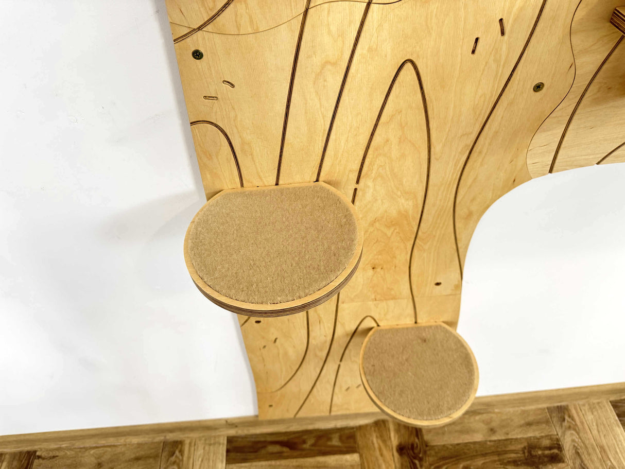 cat climbing shelves