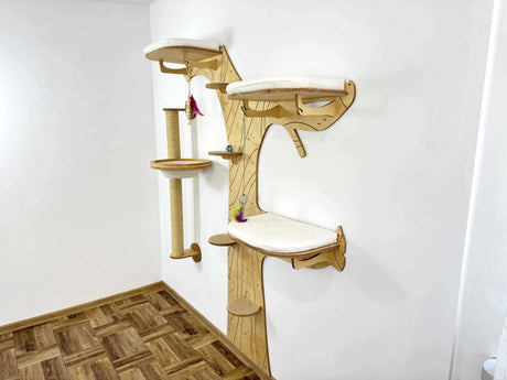 cat shelves on wall