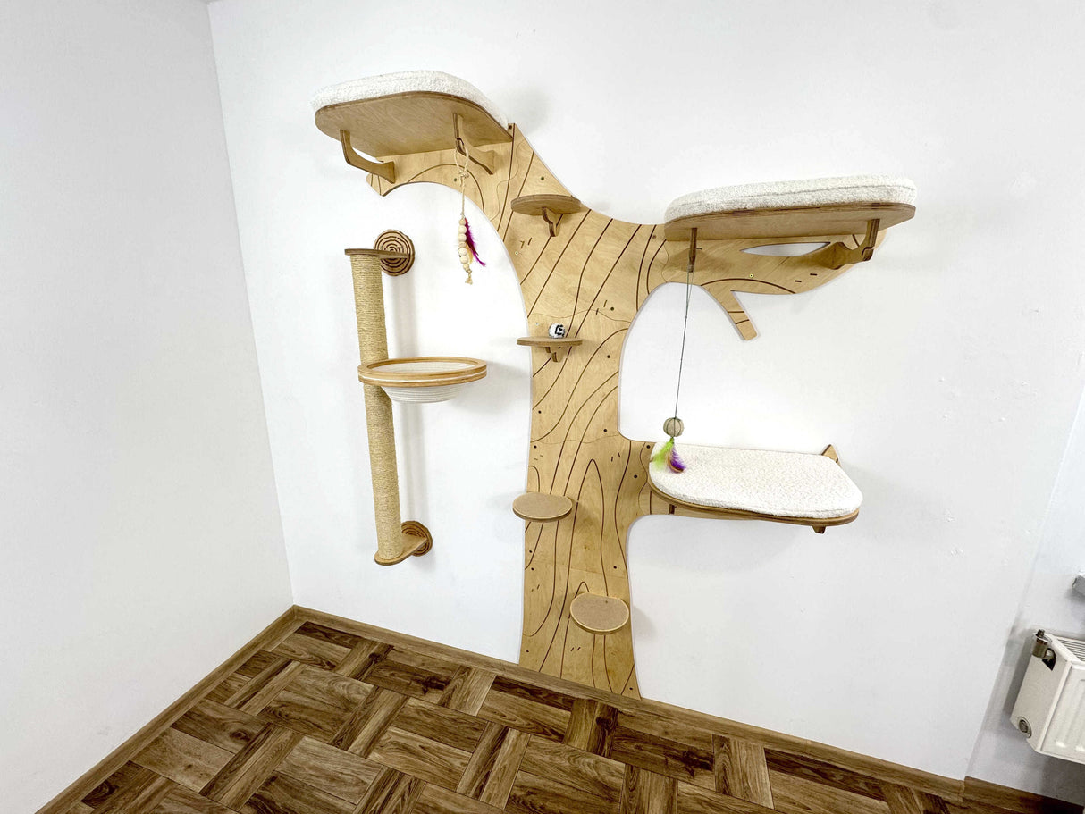 cat climbing shelves