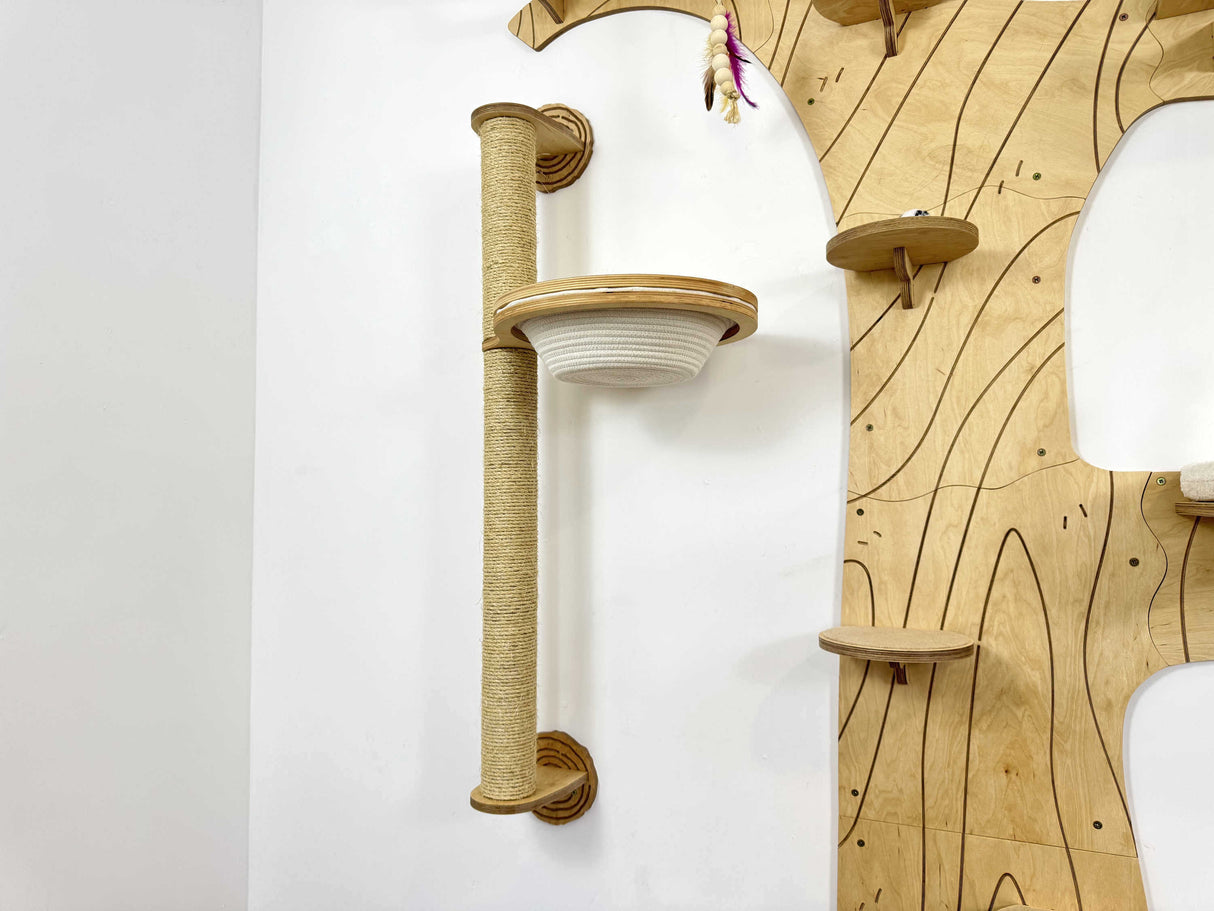 cat wall mounted shelves