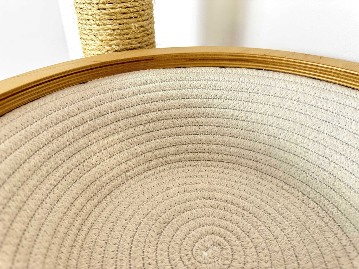 floating cat shelves