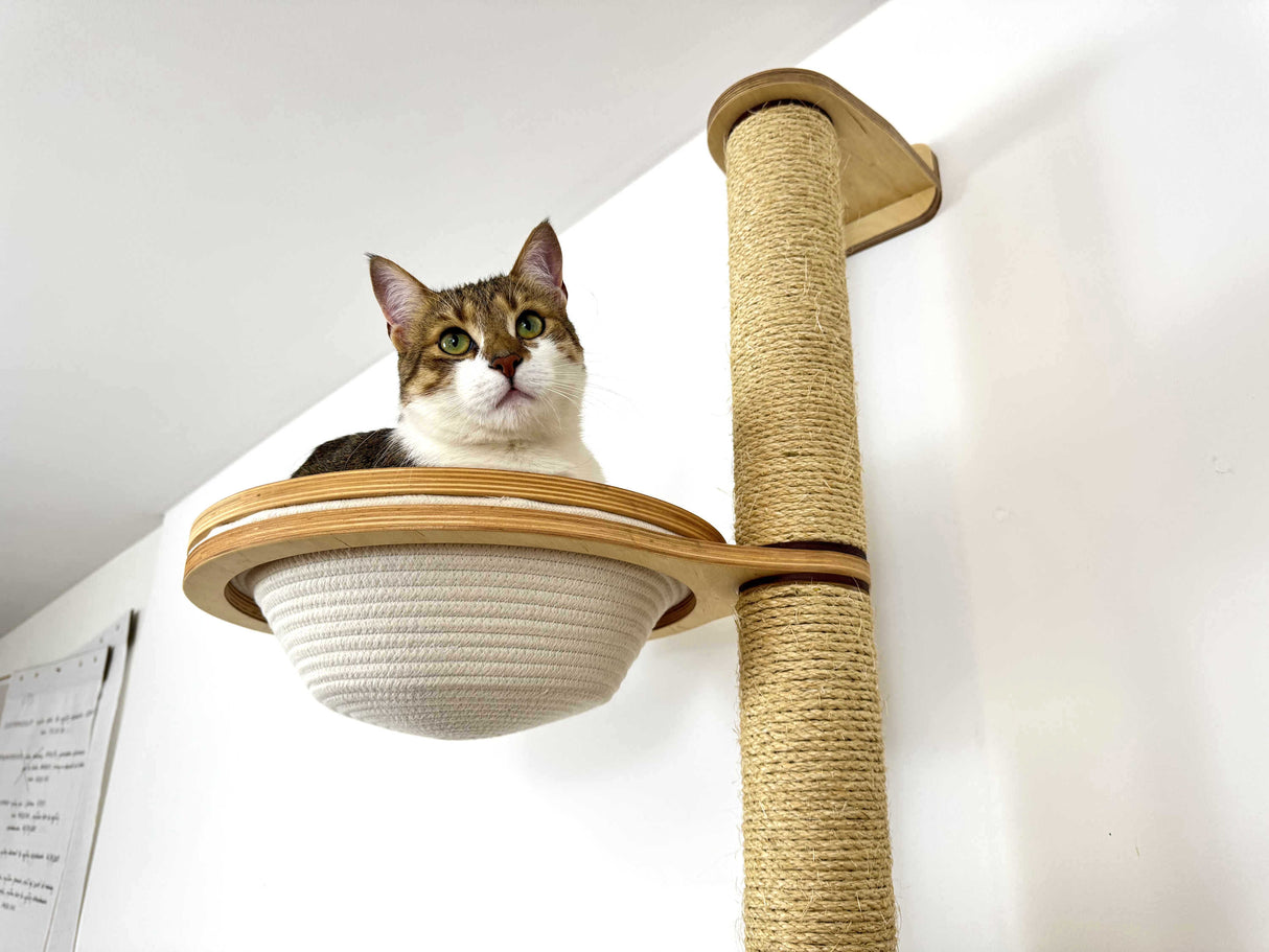 wall scratching post