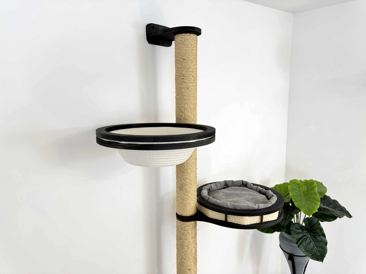 scratching wall for cats