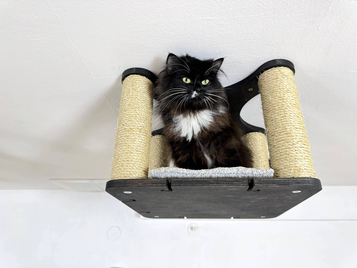 Modern Cat Ceiling Shelf